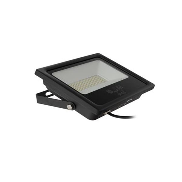 FloodLight 50W-